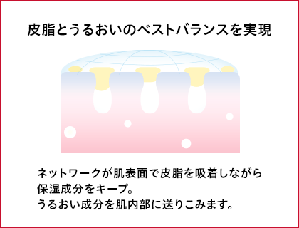 皮脂とうるおいのベストバランスを実現：ネットワークが肌表面で皮脂を吸着しながら保湿成分をキープ。うるおい成分を肌内部に送りこみます。