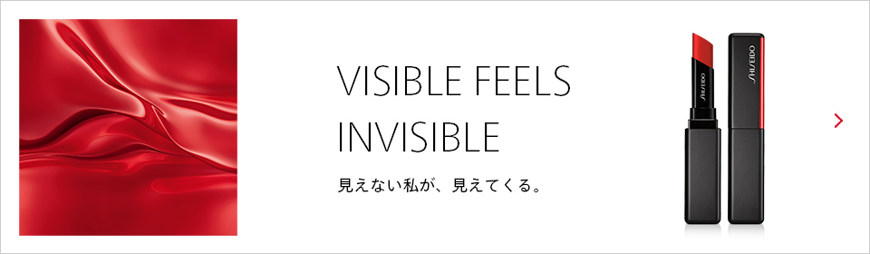 VISIBLE FEELS INVISIBILE 見えない私が、見えてくる。