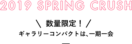 2019 SPRING CRUSH 数量限定! ギャラリーコンパクトは、一期一会