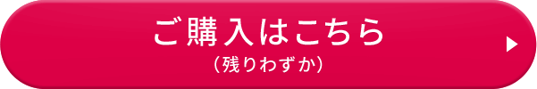 ご購入はこちら(残りわずか)