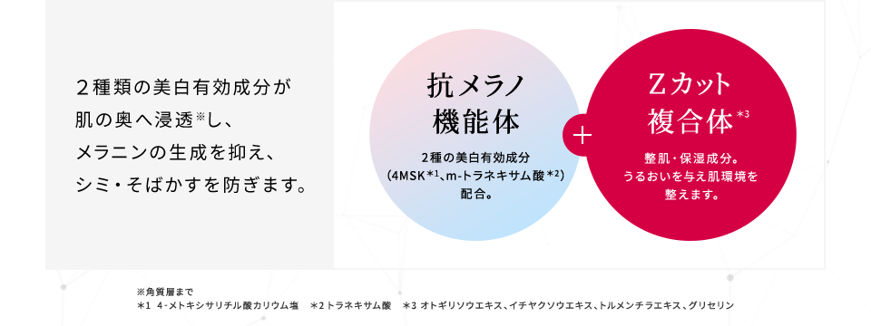 ２種類の美白有効成分が肌の奥へ浸透し、メラニンの生成を抑え、シミ・そばかすを防ぎます。【抗メラノ機能体：2種の美白有効成分（4MSK、m-トラネキサム酸）配合。】＋【Zカット複合体：整肌・保湿成分。うるおいを与え肌環境を整えます。】