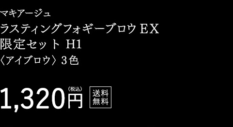 マキアージュ ラスティングフォギーブロウＥＸ 限定セット H1 1,320円（税込） 送料無料