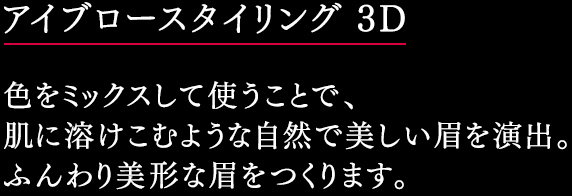 アイブロースタイリング ３Ｄ 色をミックスして使うことで、 肌に溶けこむような自然で美しい眉を演出。 ふんわり美形な眉をつくります。 