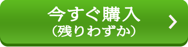 今すぐ購入（残りわずか）