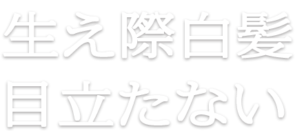 プリオール 数量限定 白髪ケアセット オンラインショップ ワタシプラス 資生堂