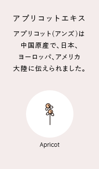 スキンケア,ミステリーショッパー,ミステリーショッピングリサーチ,覆面調査