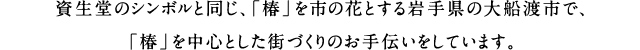 資生堂のシンボルと同じ、「椿」を市の花とする岩手県の大船渡市で、「椿」を中心とした街づくりのお手伝いをしています。