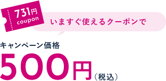 731円クーポン | 今すぐ使えるクーポンでキャンペーン価格500円
