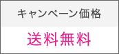 キャンペーン価格 送料無料