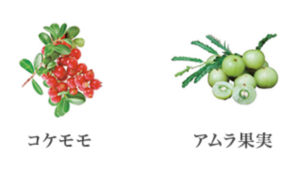 コケモモ アムラ果実
