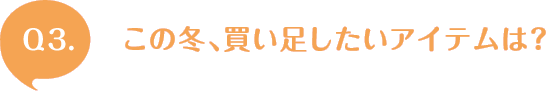 Q3. この冬、買い足したいアイテムは？
