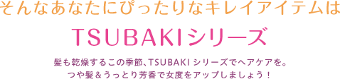 そんなあなたにぴったりなキレイアイテムはTSUBAKIシリーズ髪も乾燥するこの季節、TSUBAKIシリーズでヘアケアを。つや髪＆うっとり芳香で女度をアップしましょう！
