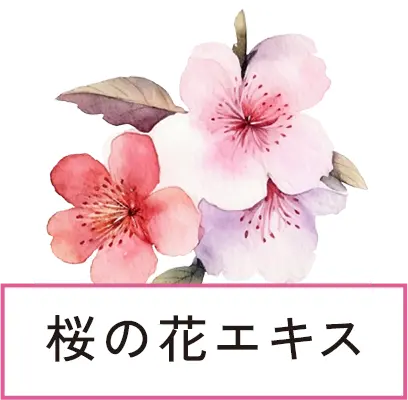 桜の花エキス