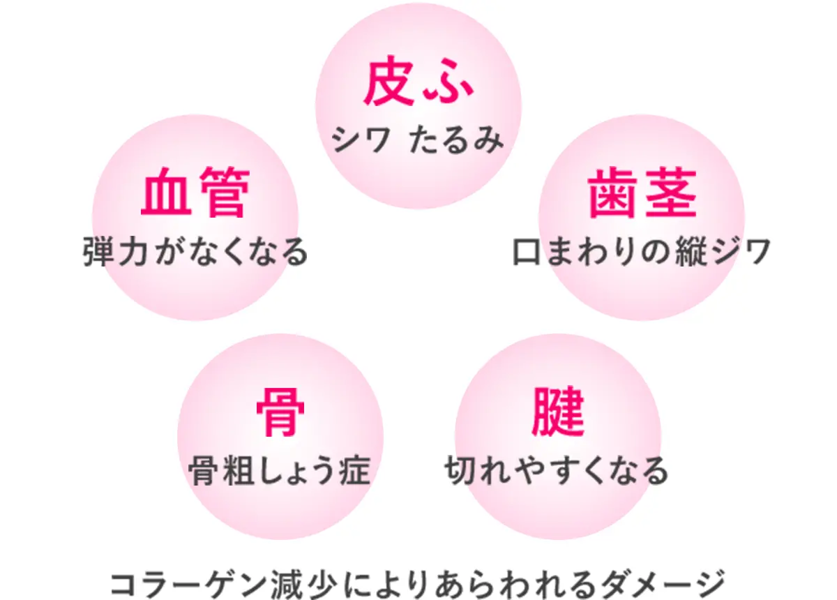 コラーゲン減少によりあらわれるダメージ