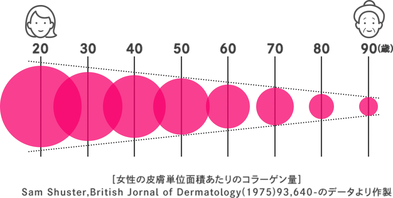 女性の皮膚単位面積あたりのコラーゲン量