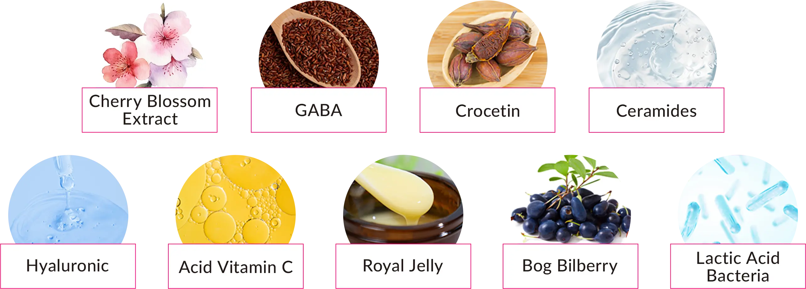Cherry Blossom Extract, GABA, Crocetin, Ceramides, Hyaluronic Acid, Vitamin C, Royal Jelly, Bog Bilberry, Lactic Acid Bacteria