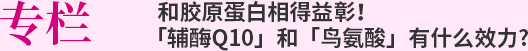 专栏 和胶原蛋白相得益彰！「辅酶Q10」和「鸟氨酸」有什么效力？