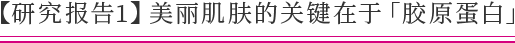 【研究报告1】美丽肌肤的关键在于「胶原蛋白」