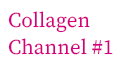 Collagen Channel #1