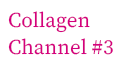 Collagen Channel #3