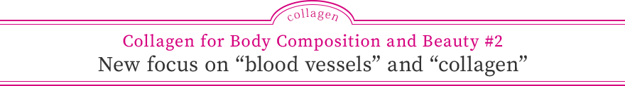 Collagen for Body Composition and Beauty #2 New focus on “blood vessels” and “collagen”