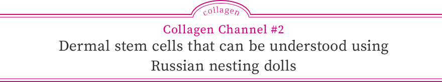 Collagen Channel #2 Dermal stem cells that can be understood using Russian nesting dolls