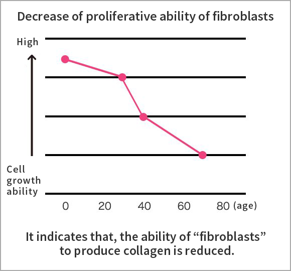 Collagen Channel Shiseido Collagen Labo