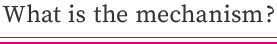 What is the mechanism?