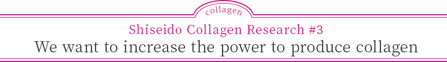 Shiseido Collagen Research #3 We want to increase the power to produce collagen
