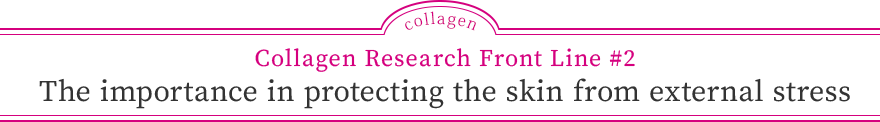 Collagen Research Front Line #2 The importance in protecting the skin from external stress