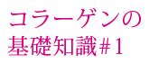 膠原蛋白的基礎知識#1