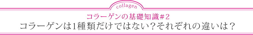 コラーゲンの基礎知識＃2 コラーゲンは1種類だけではない？それぞれの違いは？