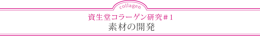 資生堂コラーゲン研究＃1 素材の開発