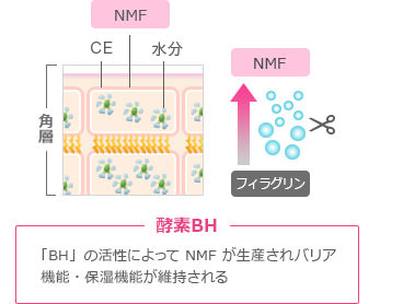 生活環境が与える肌ダメージ