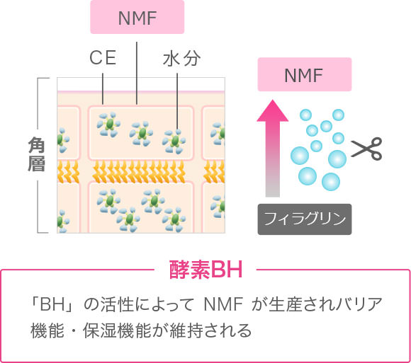 生活環境が与える肌ダメージ