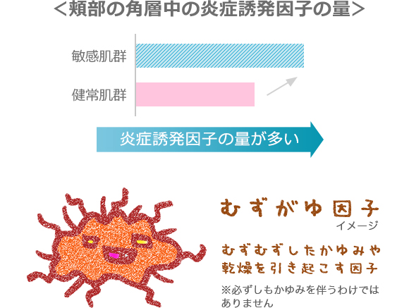 頬部の角層中の炎症誘発因子の量