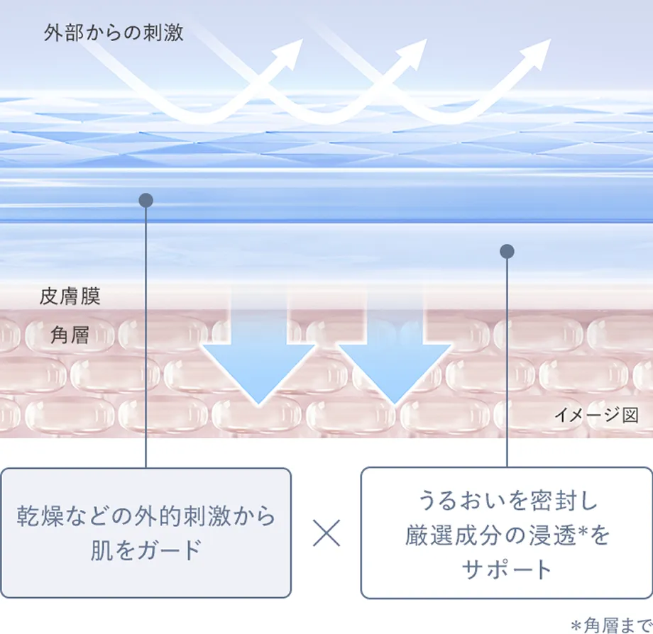 乾燥などの外的刺激から肌をガード。うるおいを密封し厳選成分の浸透を促進＊角層まで