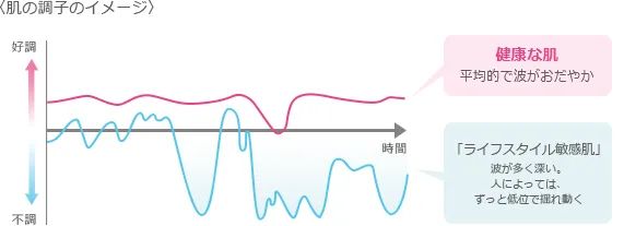 〈肌の調子のイメージ〉