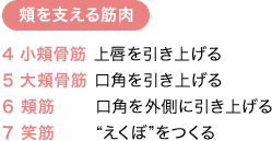 エリクシールのエステティックエッセンス エリクシール Elixir 資生堂 エリクシールのエステティックエッセンス エリクシール Elixir 資生堂