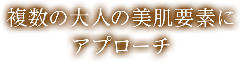 複数の大人の美肌要素にアプローチ
