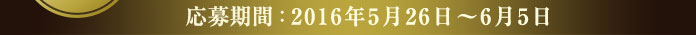 応募期間：2016年5月26日～6月5日