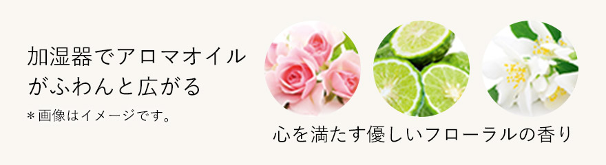 加湿器でアロマオイルがふわんと広がる 心を満たす優しいフローラルの香り