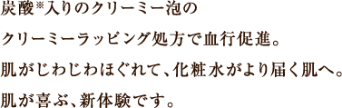 炭酸入りのクリーミー泡のクリーミーラッピング処方で血行促進。肌がじわじわほぐれて、化粧水がより届く肌へ。肌が喜ぶ、新体験です。