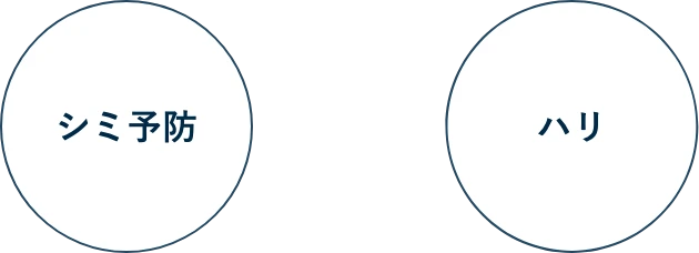シミ予防 × ハリ