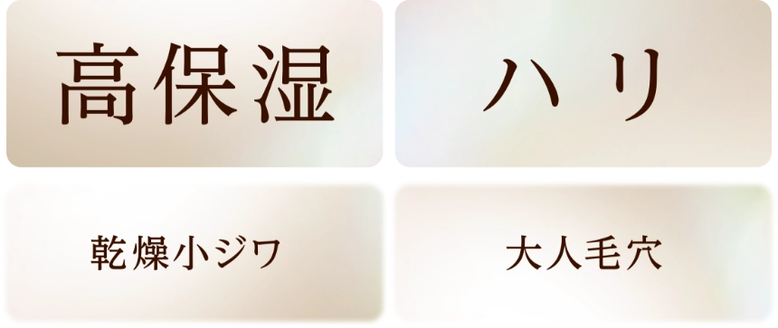 高保湿・ハリ・乾燥小ジワ・大人毛穴