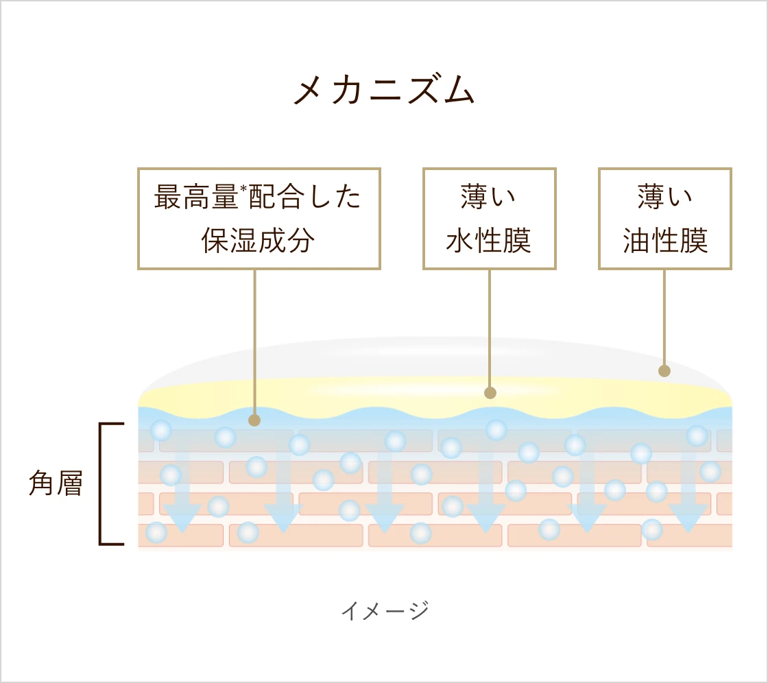 Wシミ予防成分がシミの根本原因であるメラニンの生成を効果的に抑制し、シミ・そばかすを予防