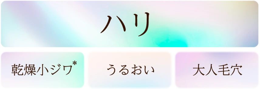 ハリ 乾燥小シワ* うるおい 大人毛穴