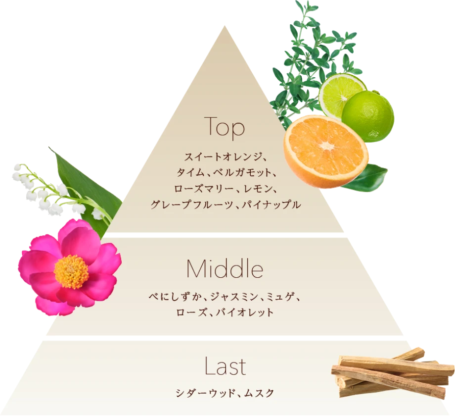 TOP:スイートオレンジ、タイム、ベルガモット、レモン、グレープフルーツ、パイナップル MIDDLE:べにしずか、ジャスミン、ミュゲ、ローズ、バイオレット LAST:シダーウッド、ムスク