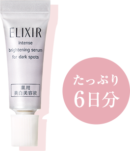 サンプル画像