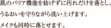 肌のバリア機能を妨げずに汚れだけを落とし、うるおいを守りながら洗い上げます。メイクも同時に落とせます。